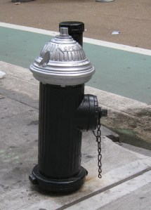 Hydrant-NYC