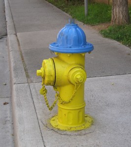 Hydrant-Knoxville