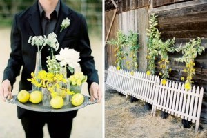 Lemon-wedding-ideas5-1