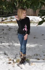 ChristmasFence-15 copy