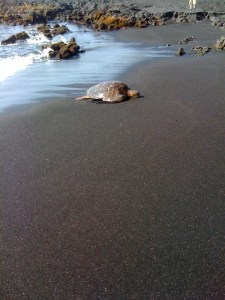 image from http://pieceocake.typepad.com/.a/6a011570df09d5970c012876f6e4d5970c-pi