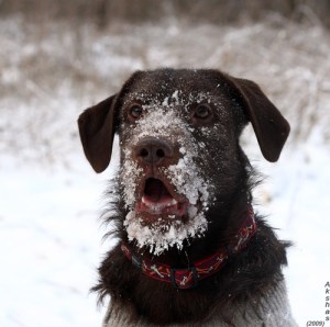 Tumblr_kthxeobfwl1qze9l7o1_500