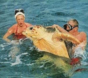 Tumblr_kxfrwuu39j1qzyxjro1_500