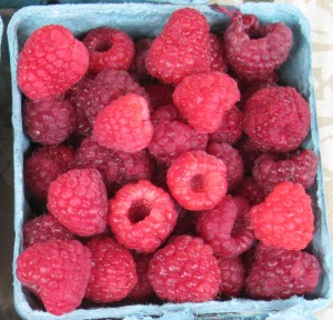 Raspberries-02