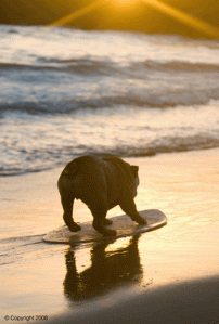 Tumblr_l55q0jxlVV1qze9l7o1_400