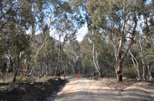 BooroombaRocks-01 copy BooroombaRocks-01 copy