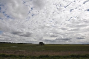 RoadToKatoomba-01 copy