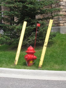 HydrantWithProtection