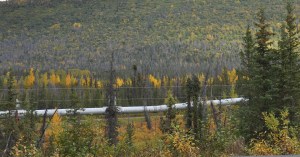 AlaskaPipeline copy