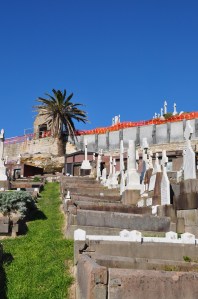 SydneyCemetary-03 copy