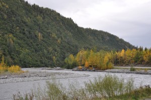 AlaskanStreams-03 copy