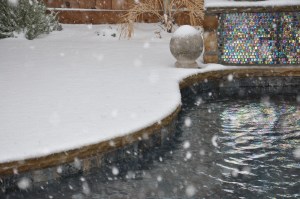 SnowAtPool-02