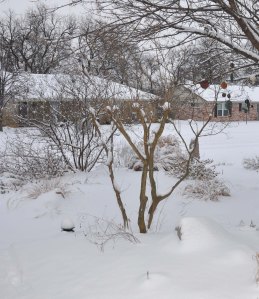 FebSnow-2011_02 FebSnow-2011_02