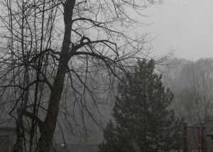 image from https://pieceocakeblog.com/wp-content/uploads/2011/04/98f15-6a011570df09d5970c014e61034235970c-pi.jpg