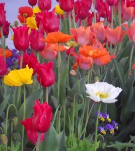 SaltLake-Flowers-05 copy SaltLake-Flowers-05 copy