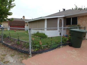 Back-01 copy Back-01 copy