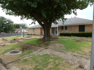 SrpinklerSystem-01 copy