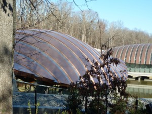 CrystalBridges-01 copy