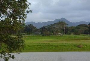 Condo-FromGolfCourse-02