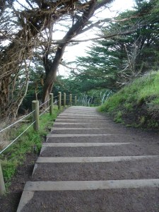 CoastalWalk-SF-08 copy