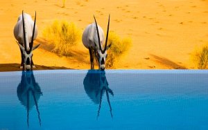 527168_468767699804759_1391938733_n