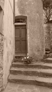 DoorFromCindy-01 DoorFromCindy-01