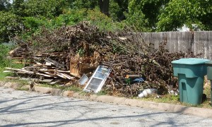 DebrisPile-02 DebrisPile-02