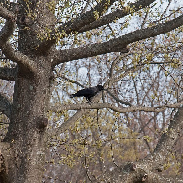 ArmonkNY-OutWindow-2