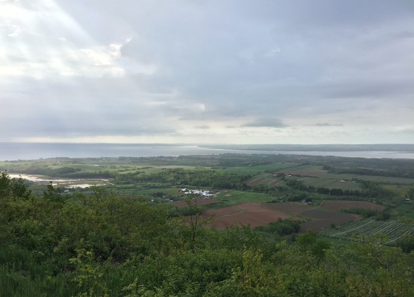BayOfFundy-Overlook