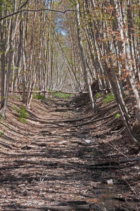 BehindJFKHighSch-NY-01