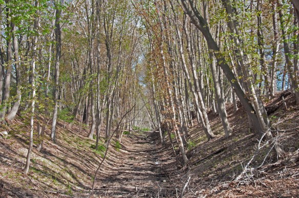 BehindJFKHighSch-NY-04