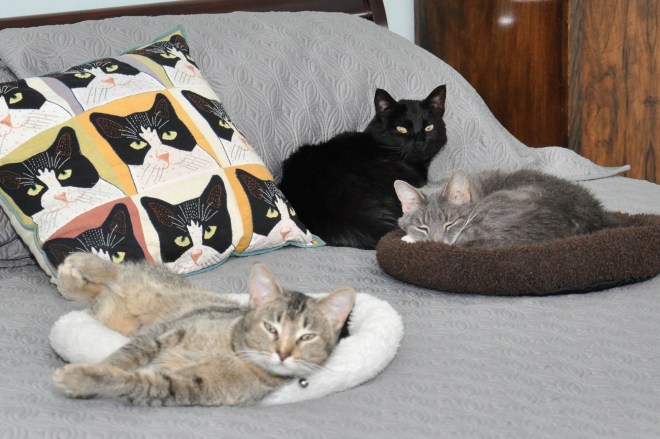 Emma is in the middle between Belle (front) and Dave (back).