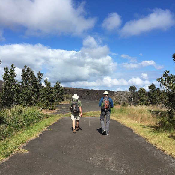 beckygoldsmith-BigIsland-1-23