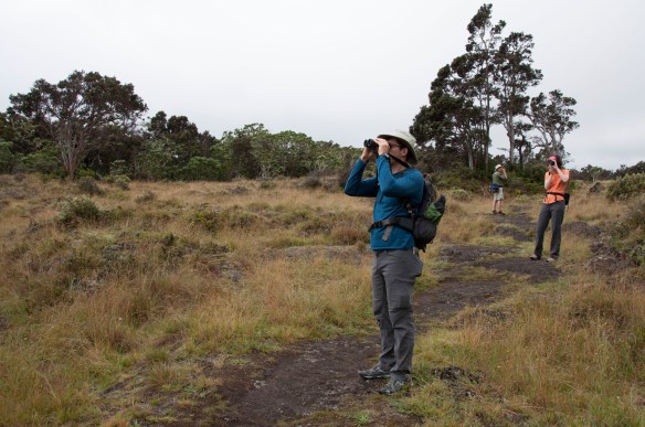 beckygoldsmith-BigIsland-1-52