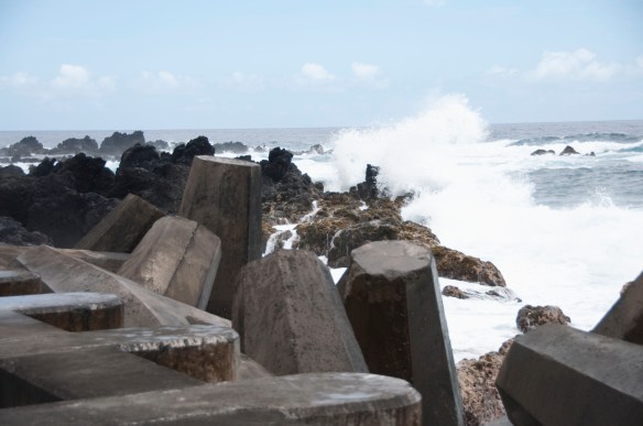 beckygoldsmith-BigIsland-4-21