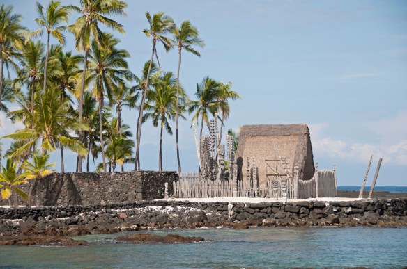 beckygoldsmith-BigIsland-Day5-12