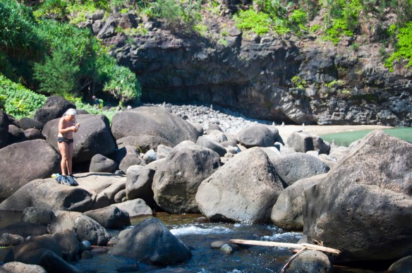 beckygoldsmith-Kauai-Day2-55