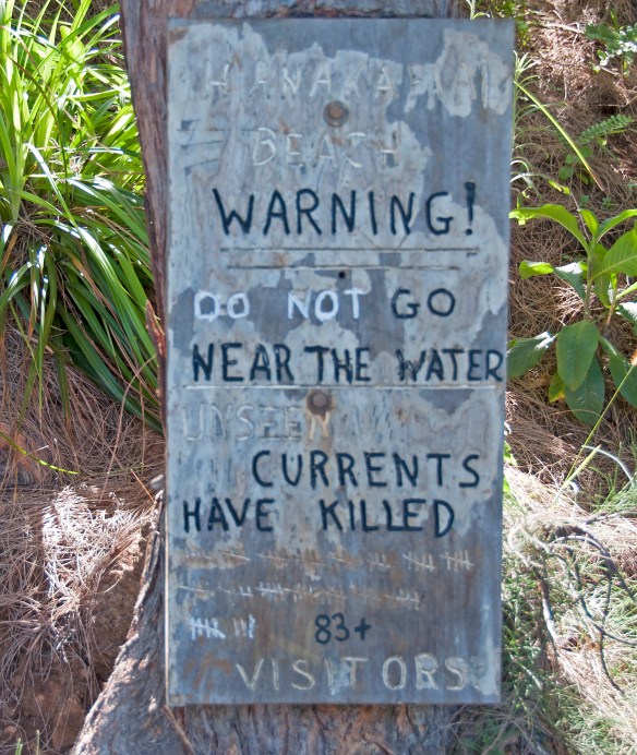 beckygoldsmith-Kauai-Day2-98