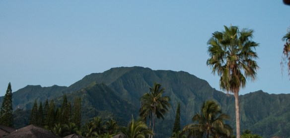 beckygoldsmith-Kauai-Day3-10