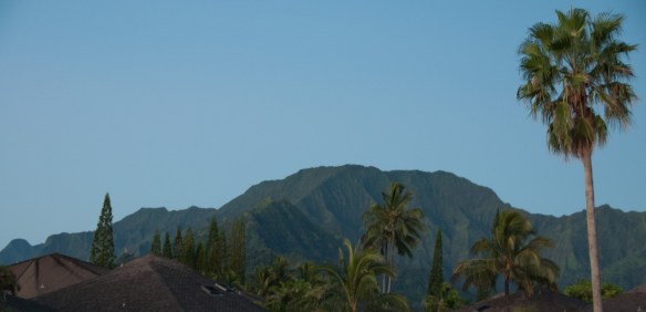 beckygoldsmith-Kauai-Day3-6