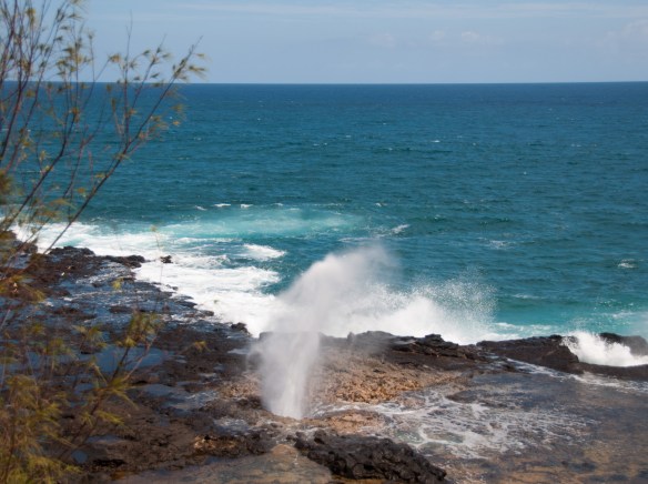 beckygoldsmith-Kauai-Day6-36-1