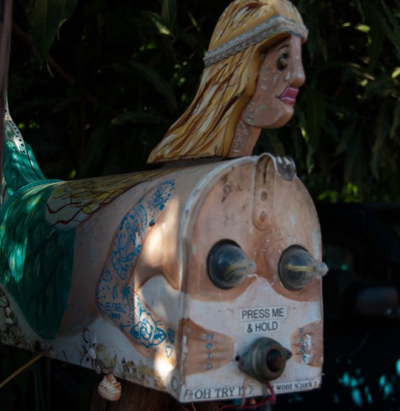 beckygoldsmith-Maui-Day5-3