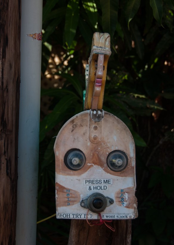 beckygoldsmith-Maui-Day5