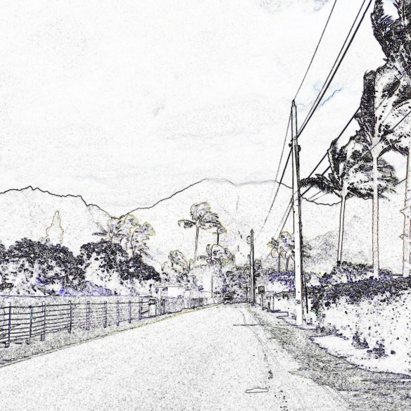 KauaiRoad-01-Edges