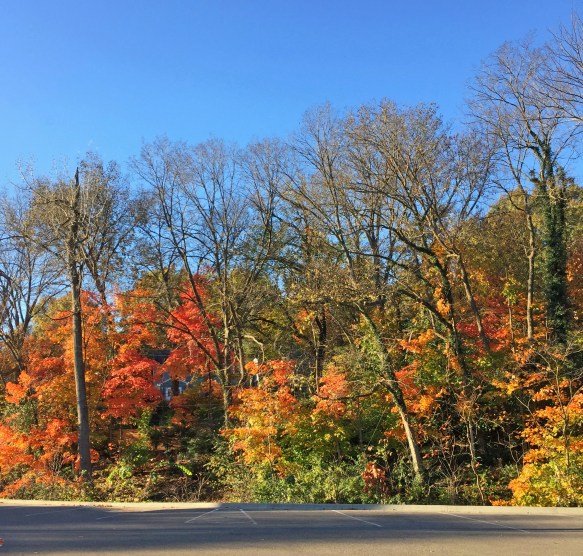 Fall, Kansas City, 2016