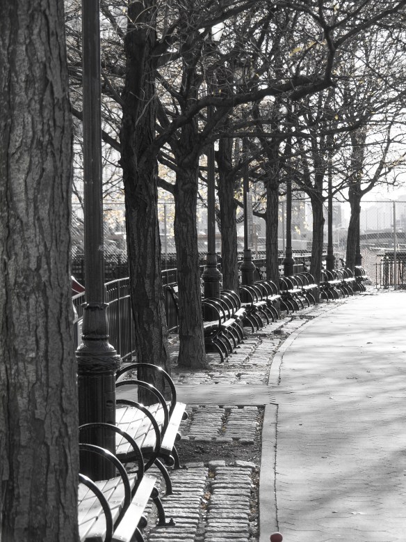 Taken near the Hudson River, NYC. This was a quick photo, lightly edited.