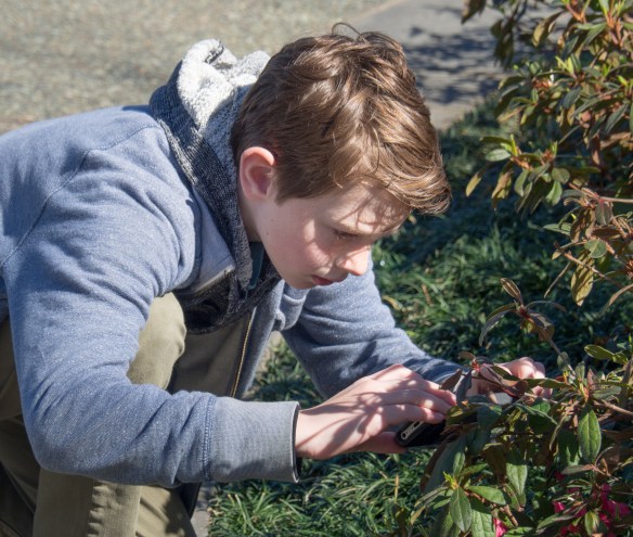 Jack Taking Pictures