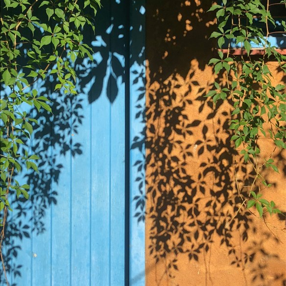 SaTuna-Walking-Shadow