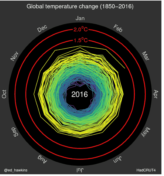 Screen Shot 2018-08-29 at 9.16.48 AM